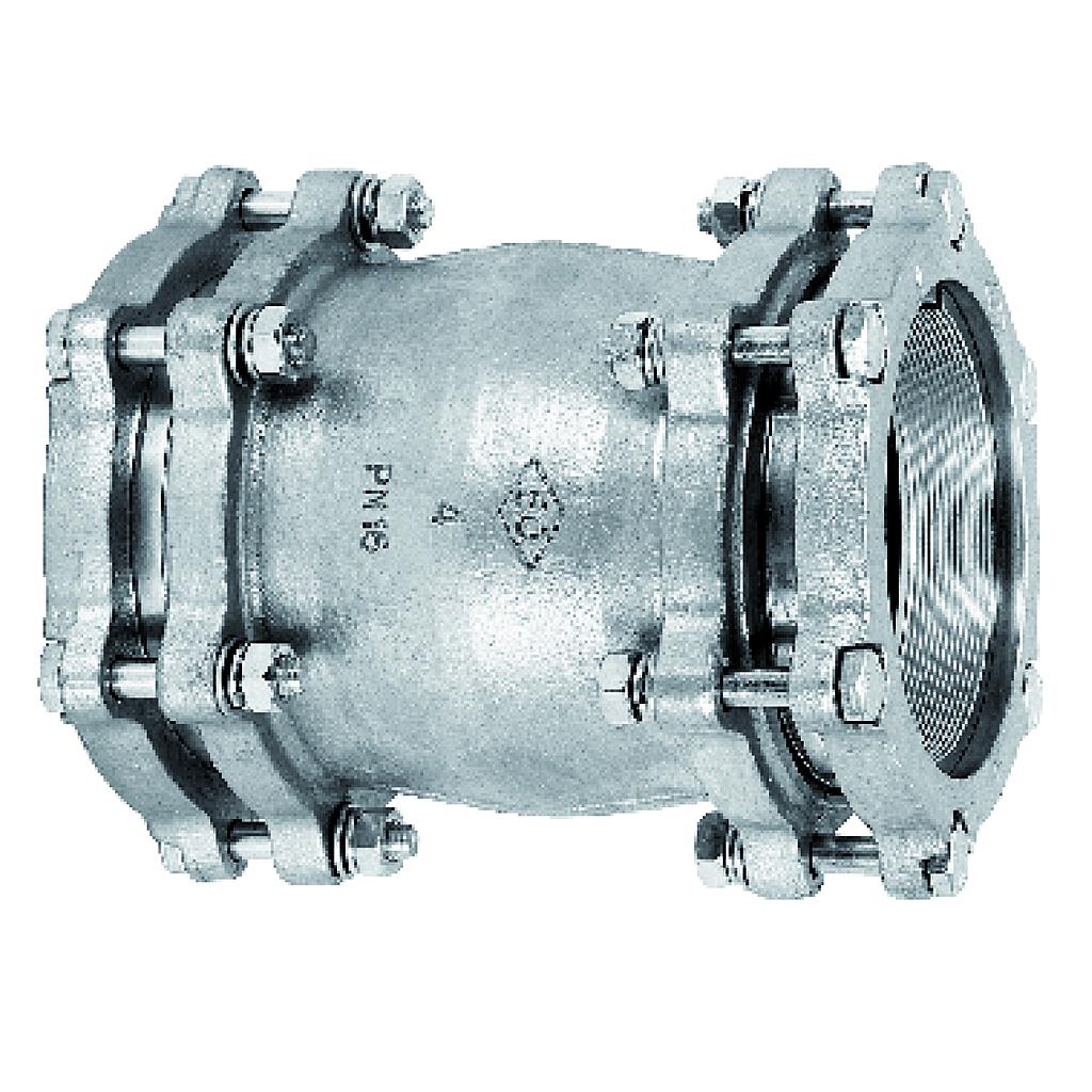 GIUNTO DOPPIO CON BULLONI IN GHISA 3"