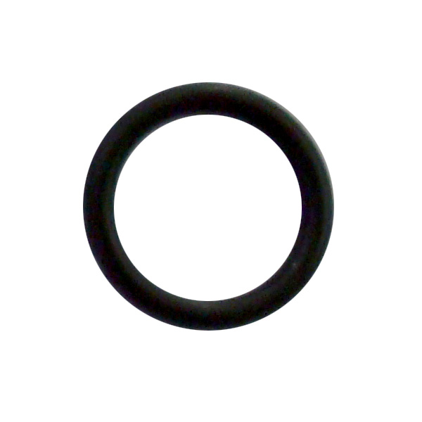 ANELLO O-RING ALIM. D.20