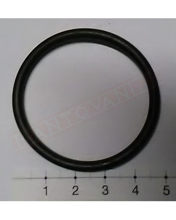 O-RING TENUTA X TUBO D.30      1.10