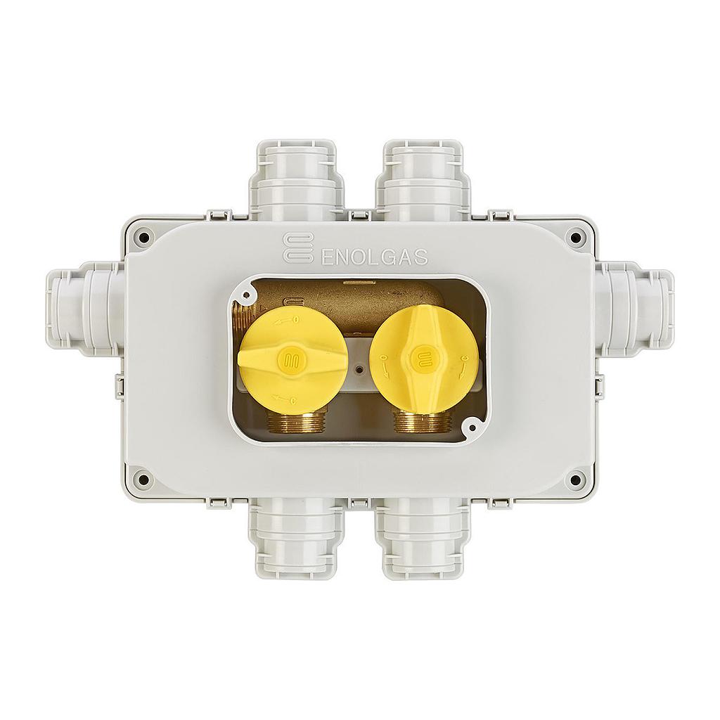 INGAS CASSETTA COLLET.GAS 2 VAL.