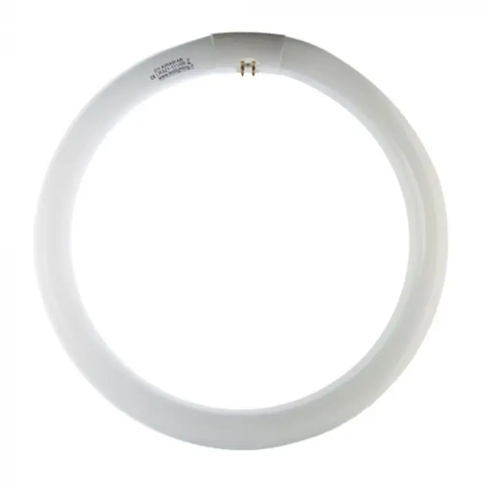 NEON CIRCOLARE 22W G10Q 6500K