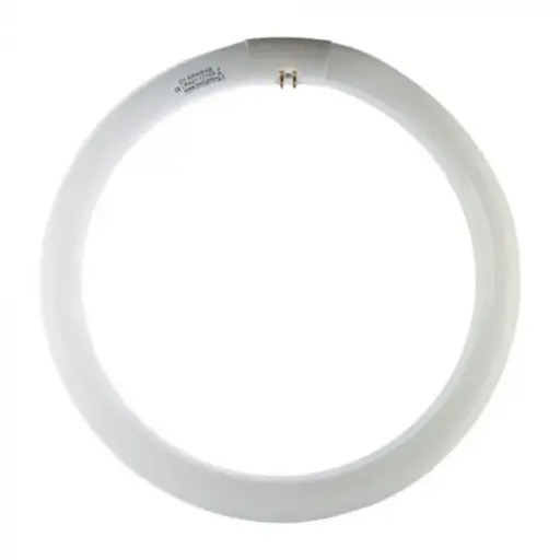 [EBOLR221T] NEON CIRCOLARE 22W G10Q 6500K