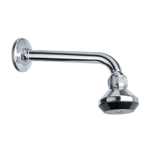 [IGC38030] BRACCIO DOCCIA COMPLETO DI SOFFIONE  TIPO AMERICANO CON SNODO cm30
