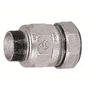 [IGEB220007] RACCORDO MASCHIO IN GHISA 2"1/2