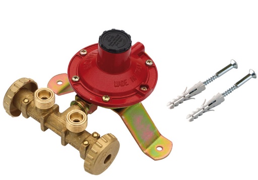 [IGNN2621] MINI CENTRALINA 2 ATTACCHI CON REGOLATORE 7 KG/H