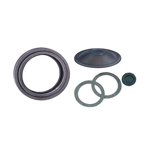 [ILE1213] CONFEZIONE GUARNIZIONI 5 PZ-08010000