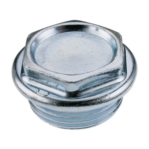 [IRMZ2901D] TAPPO CIECO 1" DX F48 ZINCATO