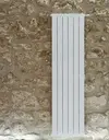 [IGBOSCAR20006] RADIATORE BATTERIA 6 ELEMENTI OSCAR 2000 BIANCO
